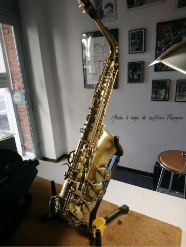 Sax Alto Ref 54 SELMER