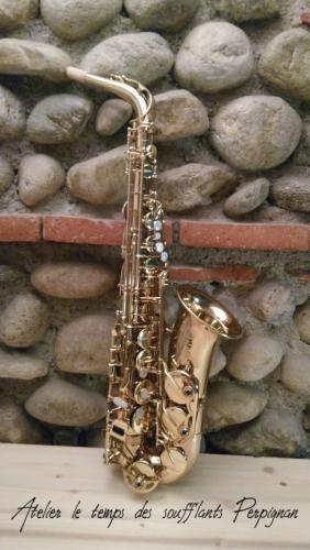 Sax Alto SELMER SA80 II